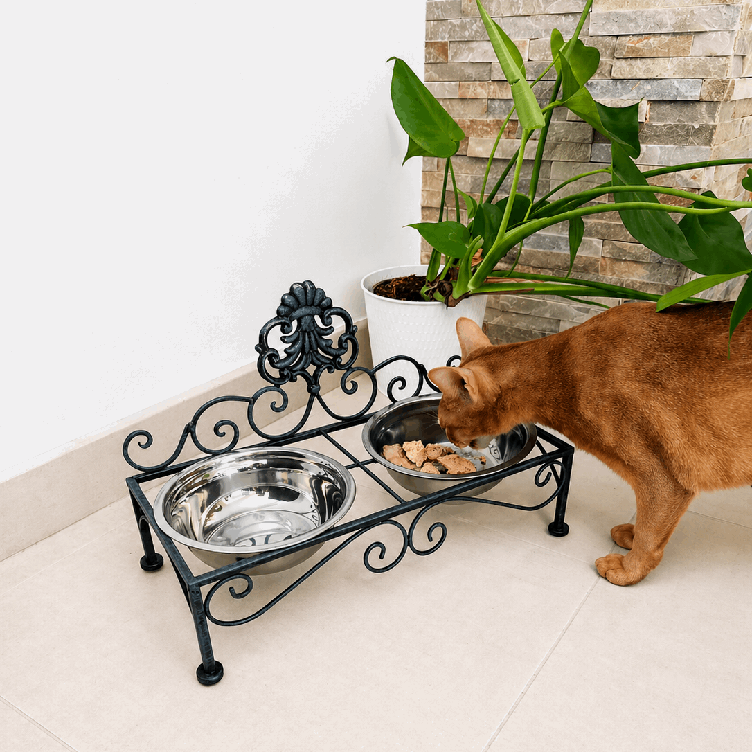 Gamelle surélevée double petit chien & chat – 2 x 500 ml – Métal - Boutique Aux Trois Pattes