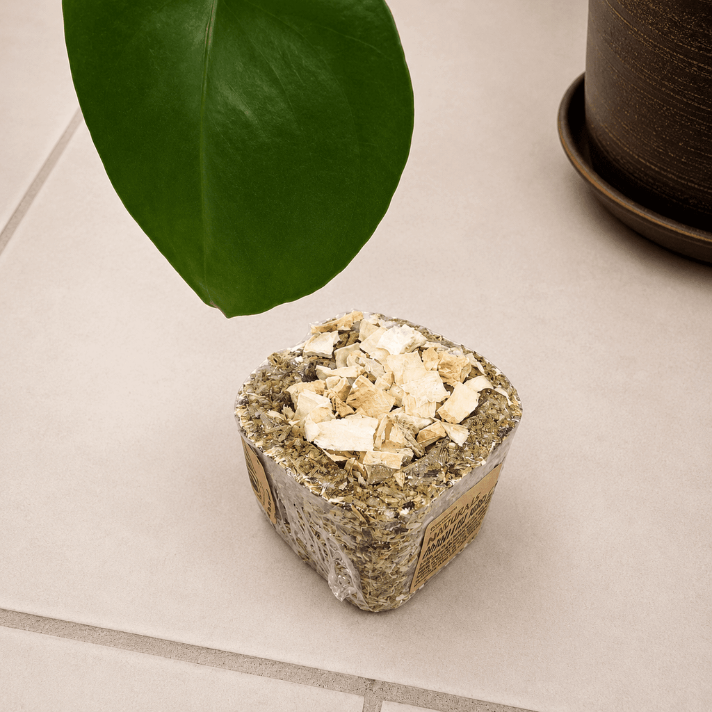 Lot de 3 cubes à ronger naturels Rosewood Naturals Grainless Nibble Pots – 75 g*3 - Boutique Aux Trois Pattes