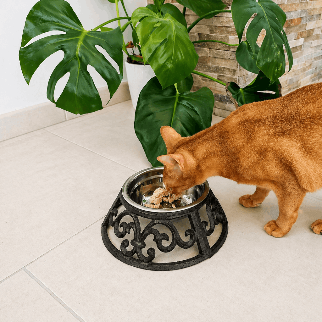Gamelle chien & chat avec support – Ø 23 x 7 cm – Fer & bol métal – 435 ml - Boutique Aux Trois Pattes