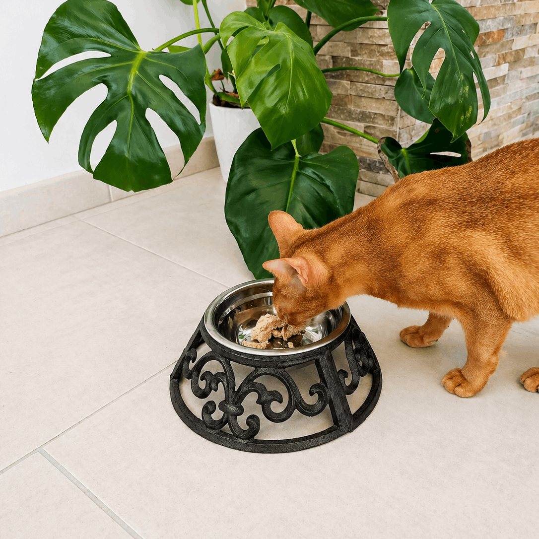 Gamelle chien & chat avec support – Ø 23 x 7 cm – Fer & bol métal – 435 ml - Boutique Aux Trois Pattes