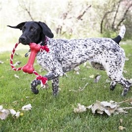 KONG Goodie Bone Rope – Jouet avec corde pour chien - Boutique Aux Trois Pattes